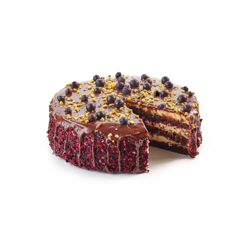 chocolate-and-blackcurrant-cake-GSK6V2T.jpg